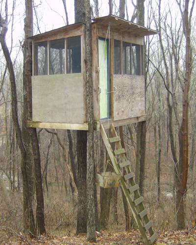 A beautiful treehouse in Maryland, U.S.A