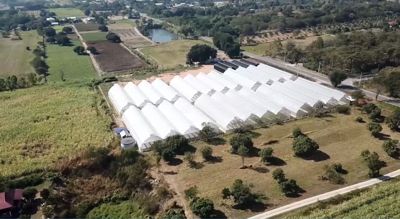 Hydroponic farming