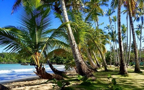 beach view