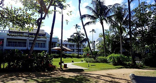 Apartment in Las Terrenas